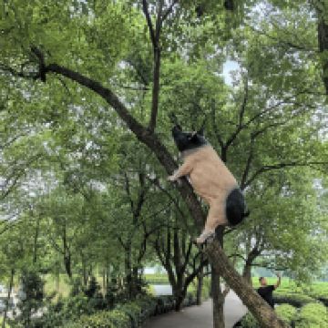 評論圖片 5