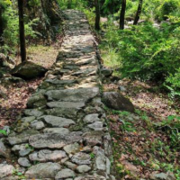 評論圖片 6