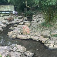 評論圖片 6