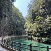 評論圖片 5