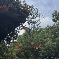 評論圖片 6