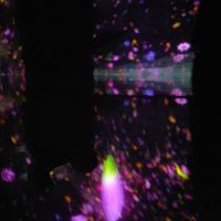 評論圖片 1
