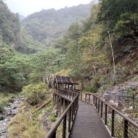 評論圖片 5