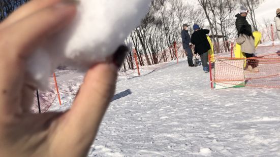 这里太宝藏啦！直接和新干线站建在一起，不用另外等巴士。雪场初