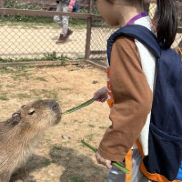 評論圖片 3