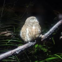 評論圖片 9
