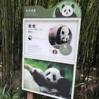 評論圖片 3