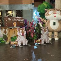 評論圖片 1