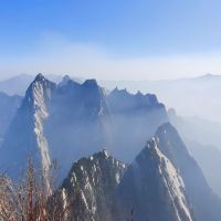 評論圖片 1