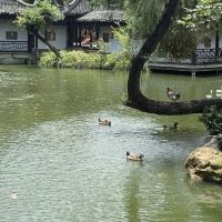評論圖片 1