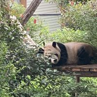 評論圖片 1