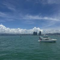 評論圖片 1
