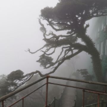 評論圖片 6