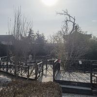 評論圖片 4