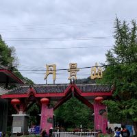 評論圖片 5