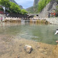 評論圖片 2