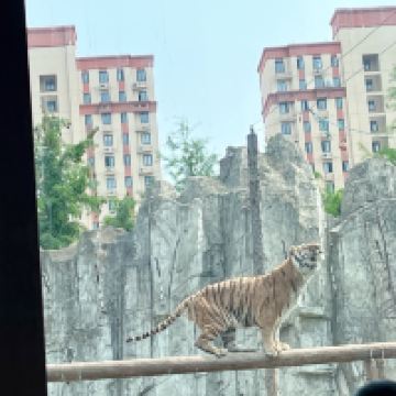 評論圖片 7