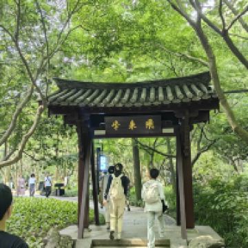 評論圖片 5