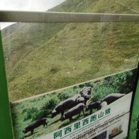 評論圖片 3