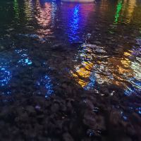 評論圖片 6