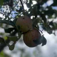 評論圖片 3