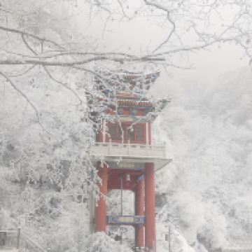 評論圖片 4