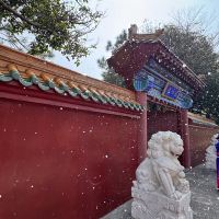 評論圖片 8