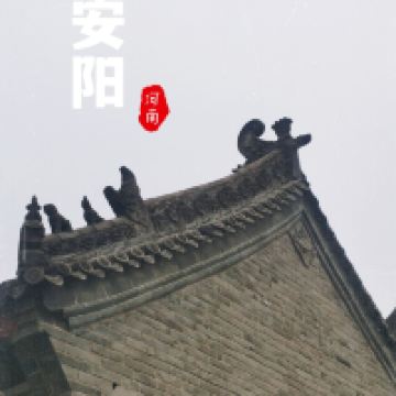評論圖片 1