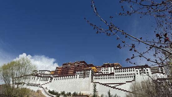 来到心驰神往的地方。太爱了，就是殿宇内总被提醒的要走，不能多