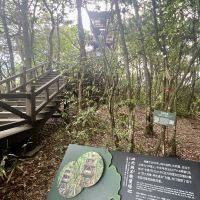 評論圖片 2