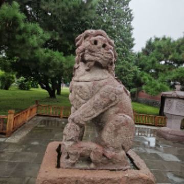 評論圖片 4