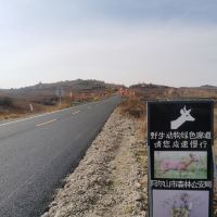 評論圖片 2