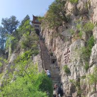 評論圖片 7