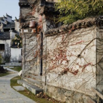 評論圖片 8