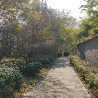 評論圖片 7