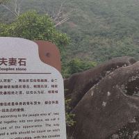 評論圖片 5