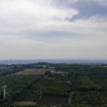 評論圖片 1