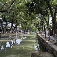 評論圖片 2