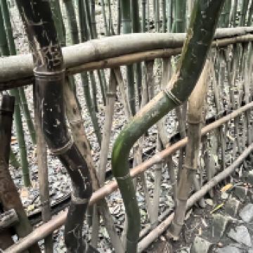 評論圖片 2