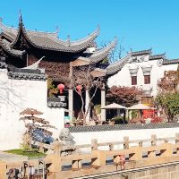 評論圖片 2