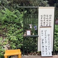 評論圖片 7
