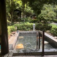 評論圖片 7