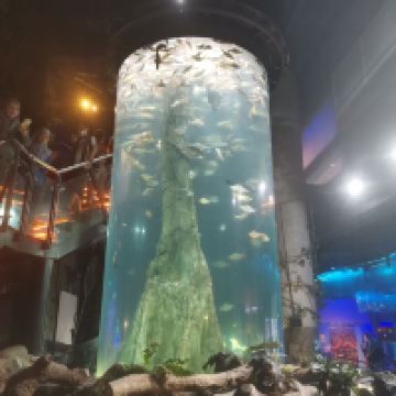 評論圖片 5