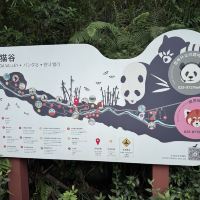 評論圖片 5