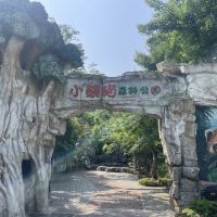 評論圖片 1