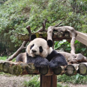 評論圖片 3