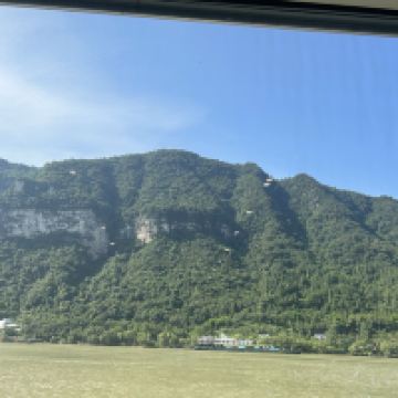 評論圖片 4