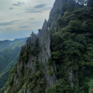 評論圖片 7