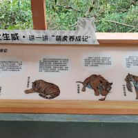 評論圖片 7