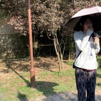 評論圖片 8